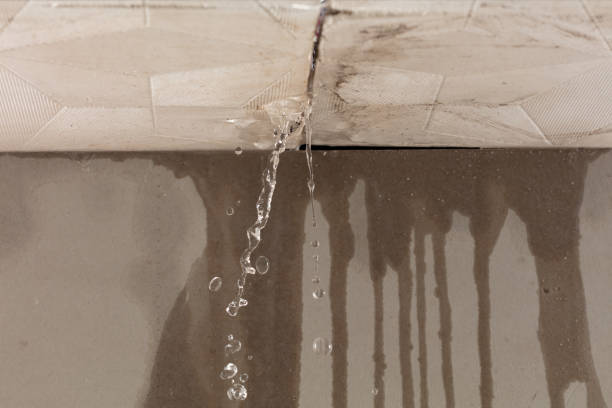 Professional Water Extraction technician working in Grammer, IN
